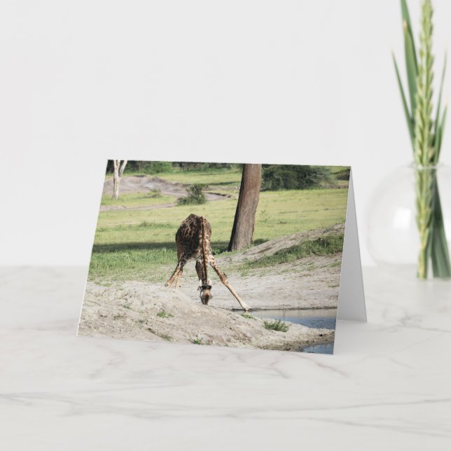 Tarjeta Bebé Giraffe (ternera) Bebiendo foto animal de vid (Anverso)