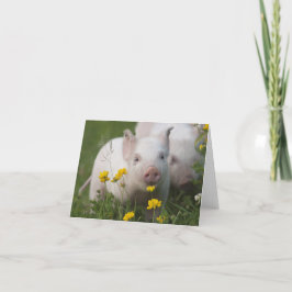 Tarjeta Bebé lechón en campo de flores amarillas