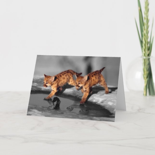Tarjeta Bebé leopardo (Anverso)