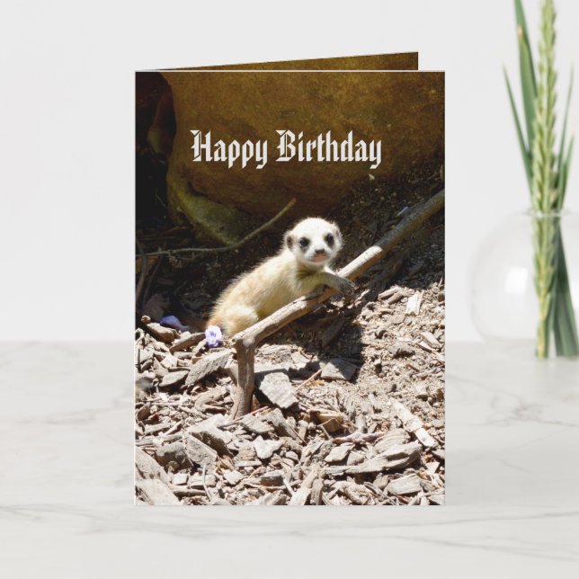Tarjeta Bebé Meerkat, cumpleaños de Insy Winsy (Anverso)