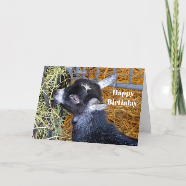 Tarjeta Bebé negro lindo comiendo heno cumpleaños (Anverso)