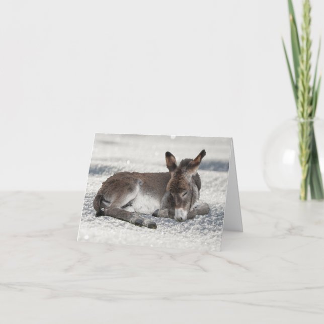 Tarjeta Bebé pequeño burro en los Navidades de la nieve (Anverso)