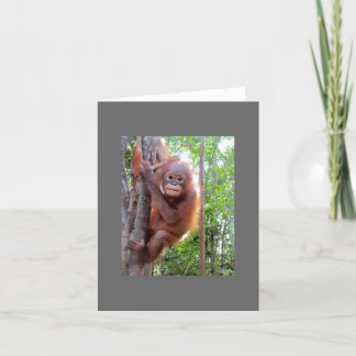 Tarjeta Bebé rescatado Orangutan Uttuh