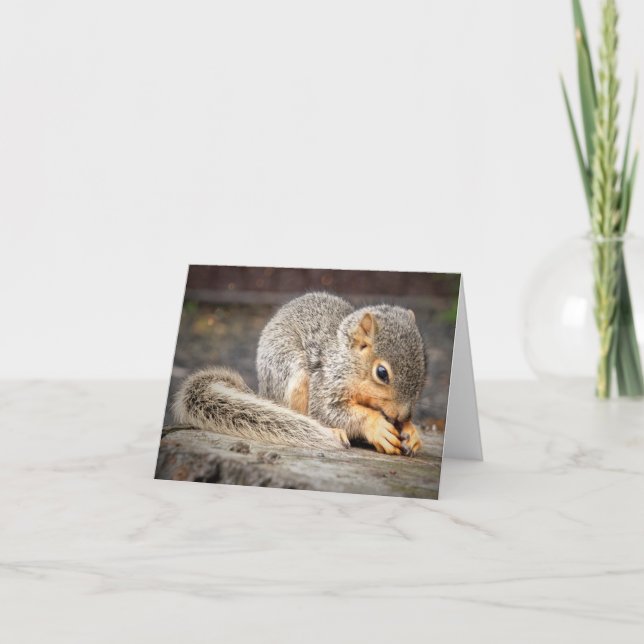Tarjeta Bebe Squirrel Note Card (Anverso)