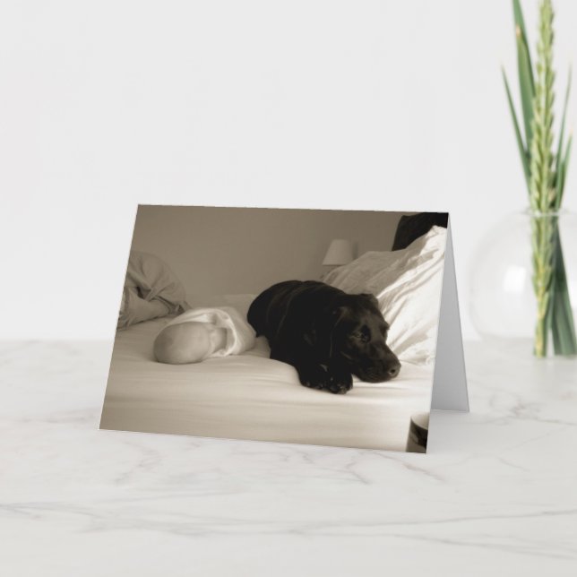 Tarjeta Bebé y perro (Anverso)