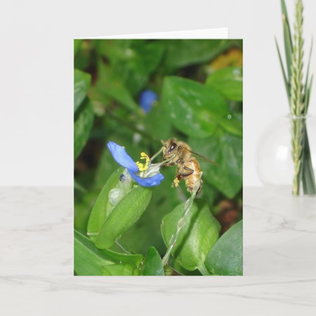 Tarjeta Bee (Anverso)