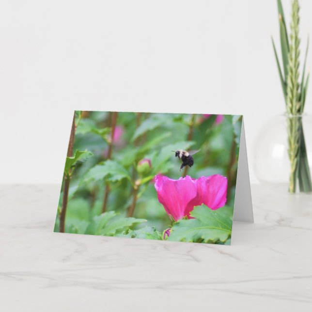 Tarjeta Bee (Anverso)