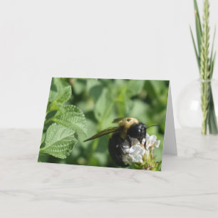 Tarjeta Bee