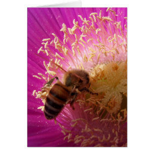 Tarjeta Bee