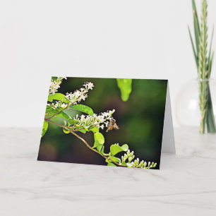 Tarjeta Bee Blossom Scripture Card Salm 119:103