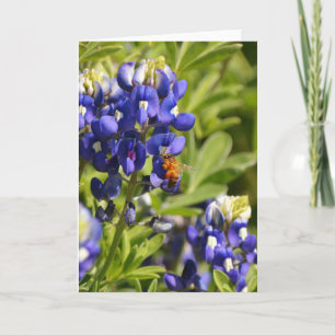 Tarjeta Bee on Bluebonnet Scripture Card Salm 73:25-26