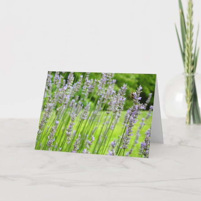 Tarjeta Bee on Lavender Summer Floral (Anverso)