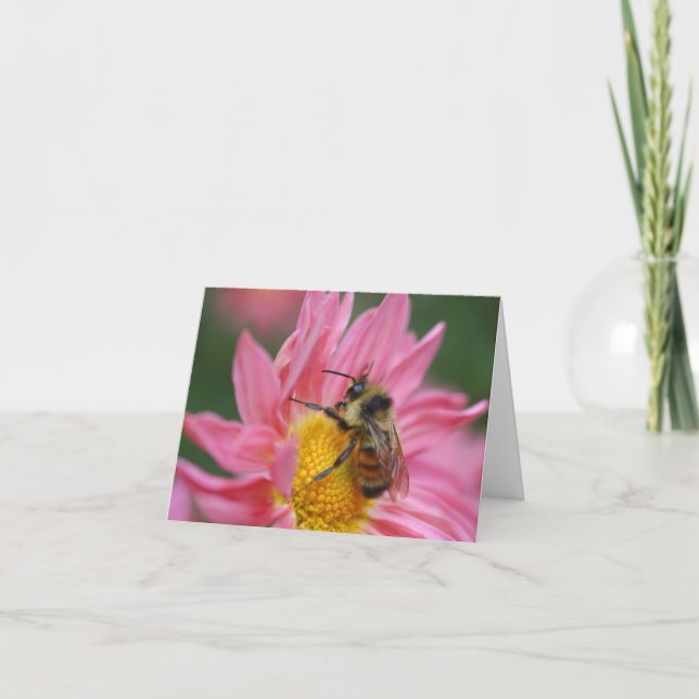Tarjeta Bee On Pink Daisy Flower Photography Note (Anverso)