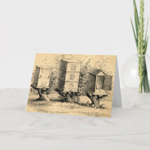 Tarjeta Beehives Beehive