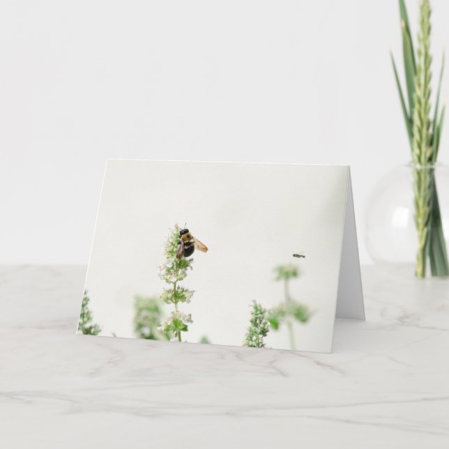 Tarjeta Beeline (Anverso)