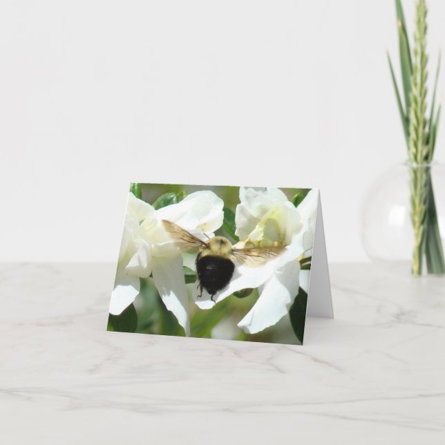 Tarjeta Bee'n ocupado (Anverso)