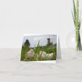 Tarjeta Beer relaxt in natuur met Hollandse molen.