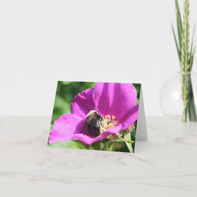 Tarjeta Bees On Pink Rose Nature Photography Note (Anverso)