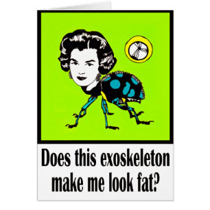 Tarjeta Beetlemania 1