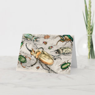 Tarjeta Beetles Insects Bugs