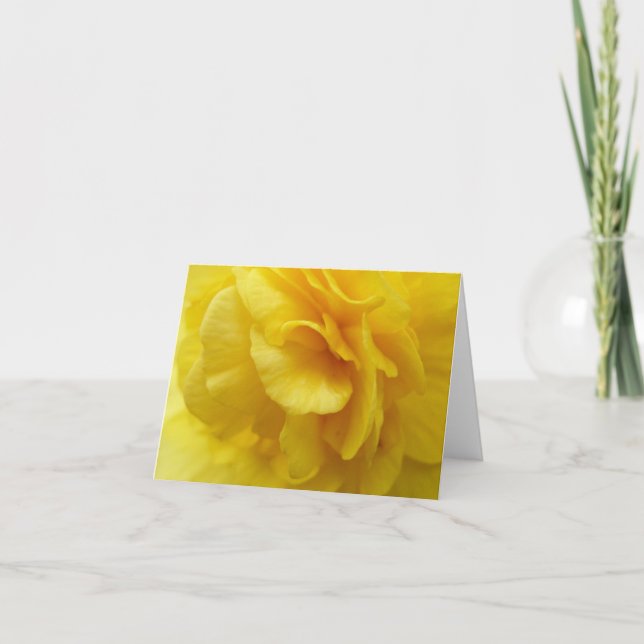 Tarjeta begonia notecard (Anverso)