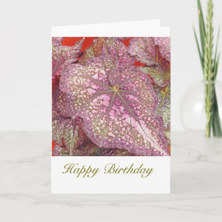 TARJETA BEGONIA VERDE ROSA Y AMARILLA/CUMPLEAÑOS FELIZ