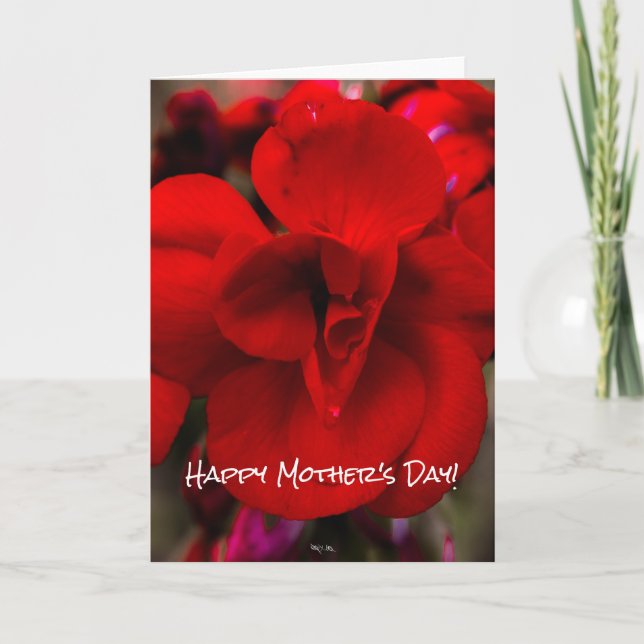 Tarjeta Begonias del escarlata (Anverso)