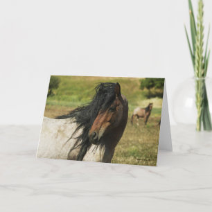 Tarjeta Behold la belleza