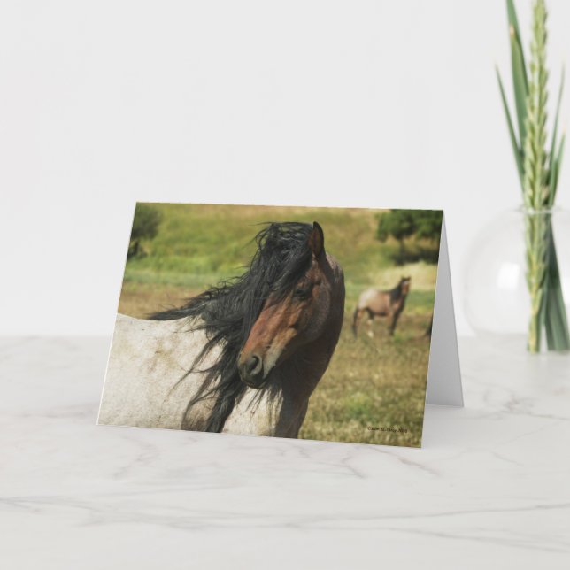 Tarjeta Behold la belleza (Anverso)