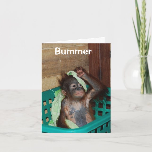 Tarjeta Belated Happy Birthday lo siento (Anverso)