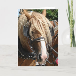 Tarjeta Belga hermoso