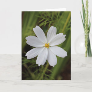 Tarjeta Bella blanca simple