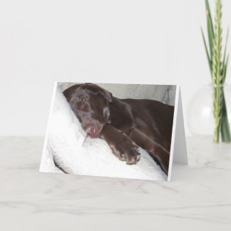 Tarjeta Bella durmiente