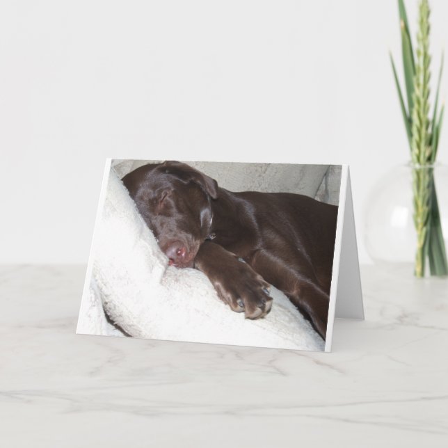 Tarjeta Bella durmiente (Anverso)