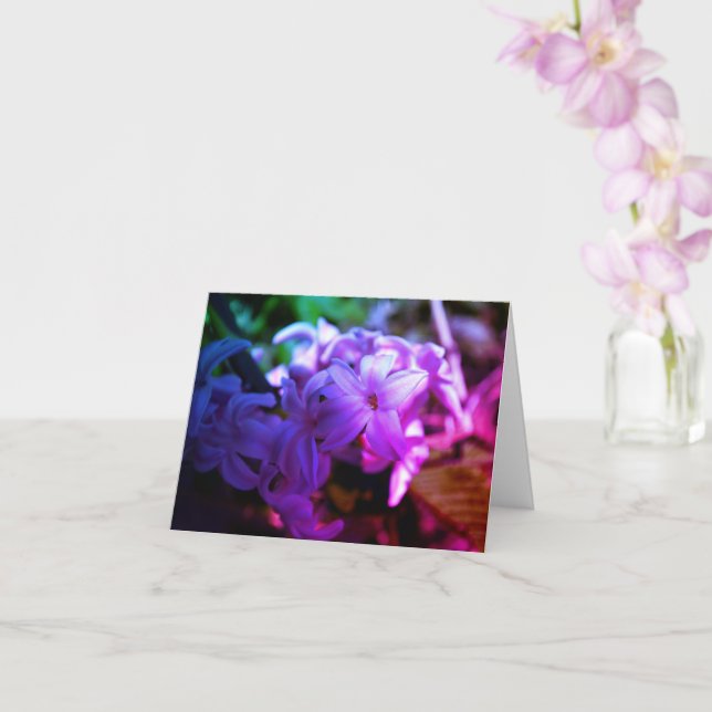 Tarjeta Bella flor de jacinto (Hyacinthus) (Orquídea)