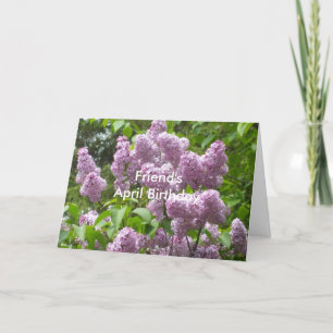 Tarjeta Bella Lilacs, cumpleaños de un amigo en abril