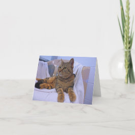 Tarjeta Bella Tabby Marrón