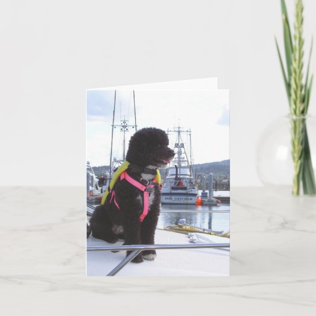 Tarjeta Bella y el colector de perro (Anverso)