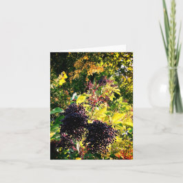 Tarjeta Bellas negras