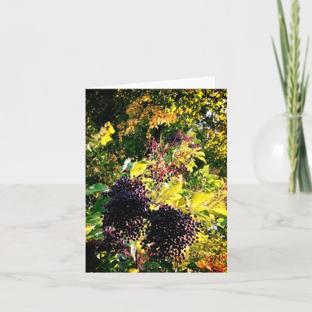 Tarjeta Bellas negras (Anverso)