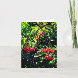 Tarjeta Bellas rojas