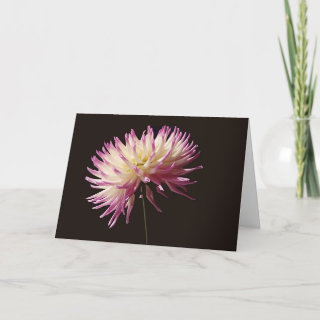 Tarjeta belleza absoluta (Anverso)