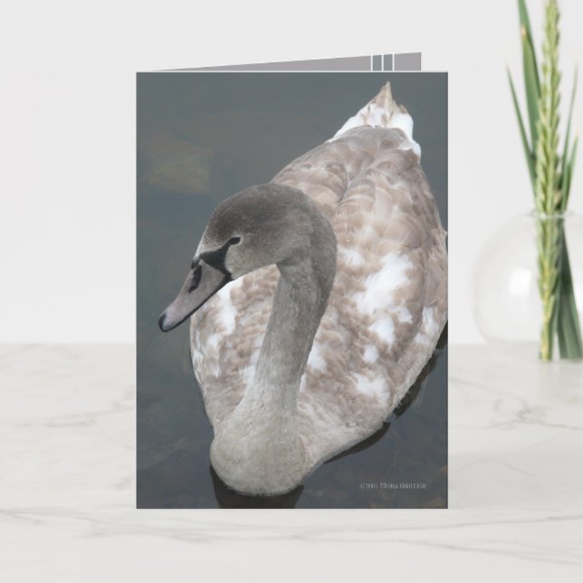 Tarjeta Belleza adolescente (Anverso)