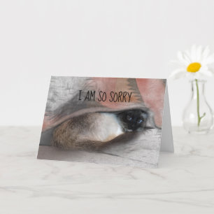 Tarjeta Belleza al lamentar foto reemplazable de Siamese K