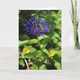 Tarjeta Belleza azul