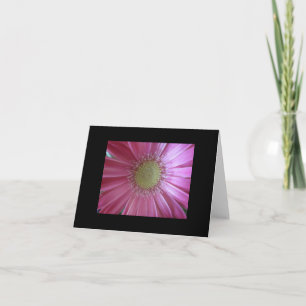 Tarjeta Belleza de margarita rosada