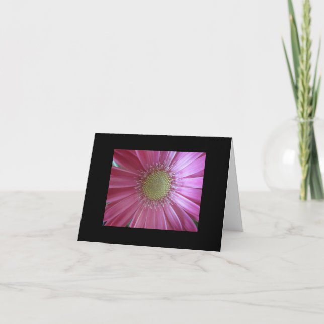 Tarjeta Belleza de margarita rosada (Anverso)