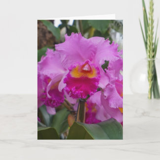 Tarjeta Belleza de orquídea