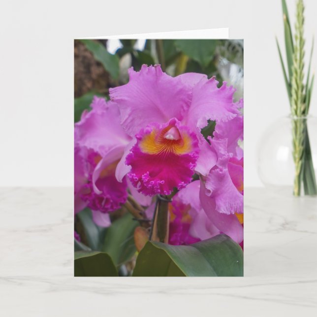 Tarjeta Belleza de orquídea (Anverso)