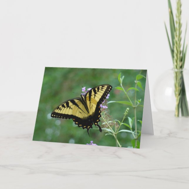 Tarjeta Belleza de Verano (Anverso)